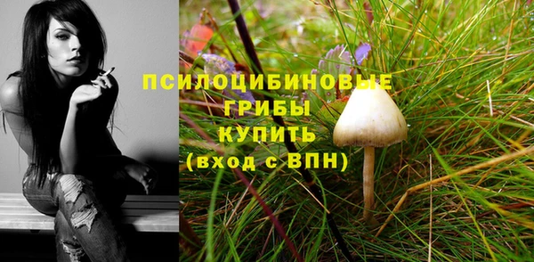 мяу мяу мука Абинск