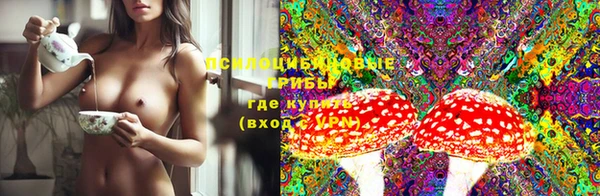 прущие крисы Абаза