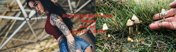 прущие крисы Абаза
