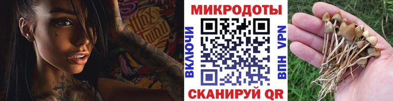 Галлюциногенные грибы MAGIC MUSHROOMS Тарко-Сале